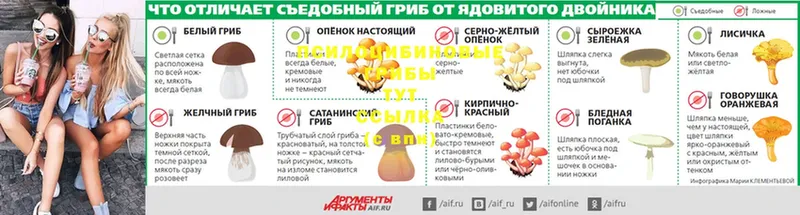 Псилоцибиновые грибы мицелий  купить наркоту  Новомосковск 